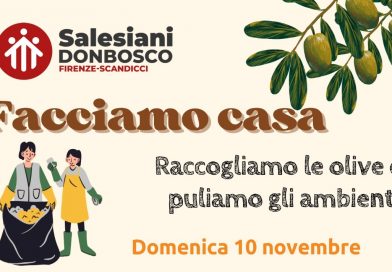 Facciamo casa: Raccolta delle olive e pulizia degli ambienti