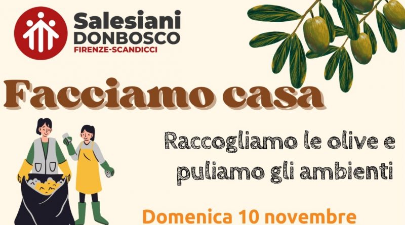 Facciamo casa: Raccolta delle olive e pulizia degli ambienti